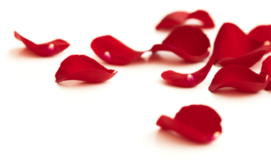 Red Rose Petals